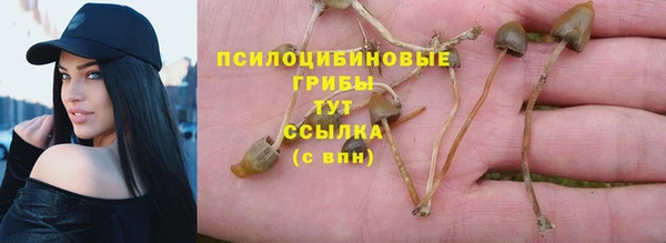 PSILOCYBIN Богданович